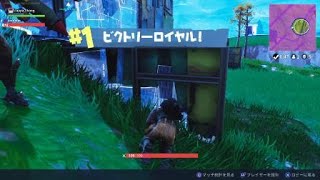 【Fortnite】一日一ビクトリーロイヤル_3