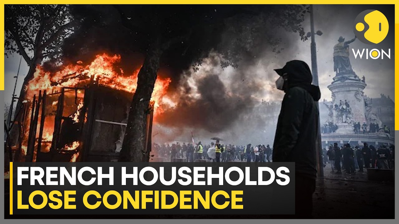 French Households Lose Confidence Amid Economic Uncertainty | WION News