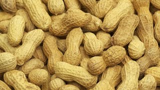 New study examines peanut allergies in young kids