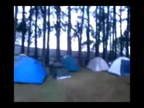 Respect festival 13 e 14 de agosto de 2011 MORNING