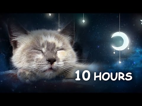 10 HOURS - Relaxing Lullaby for Cat and Kitten (with Cat purring sounds) CAT MUSIC