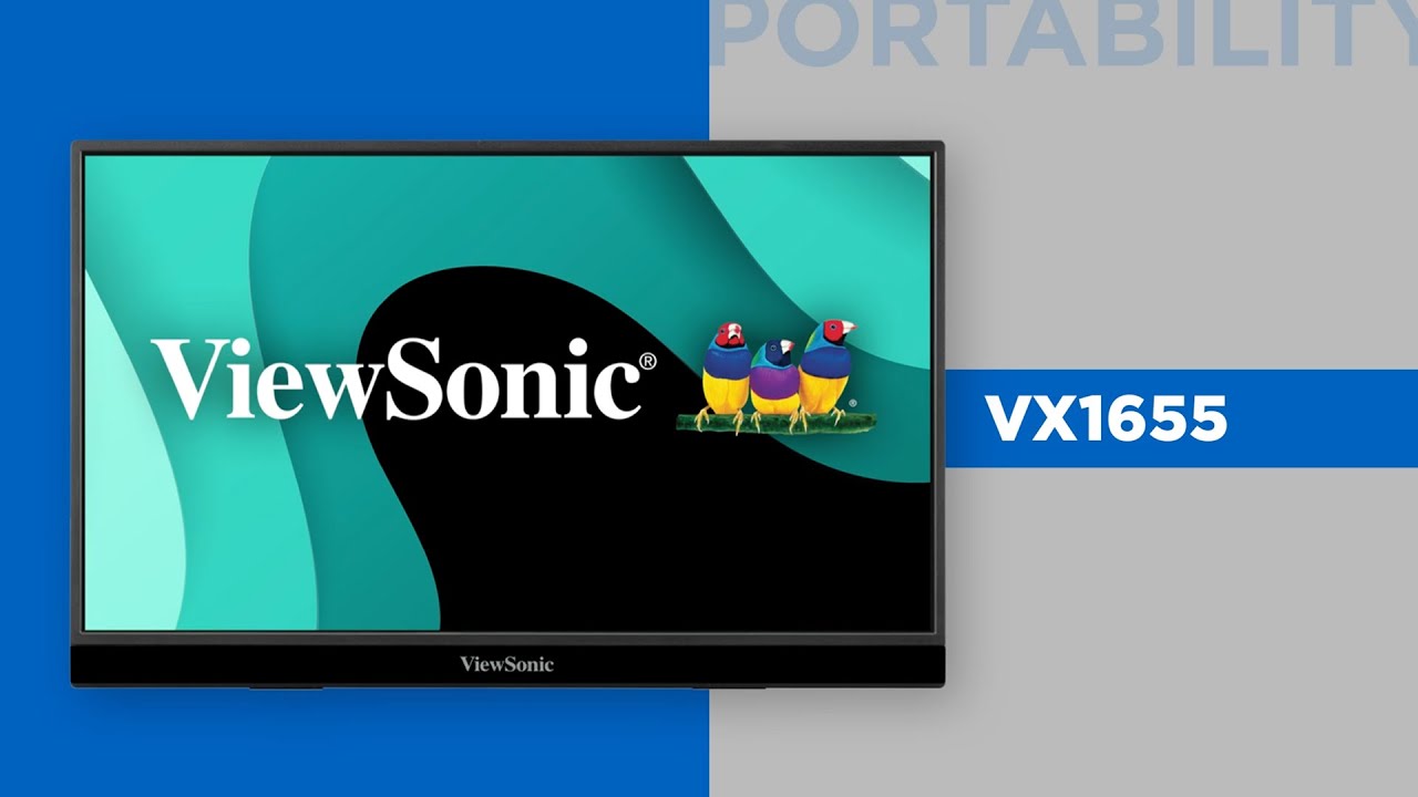 VX1655 Portable Monitor