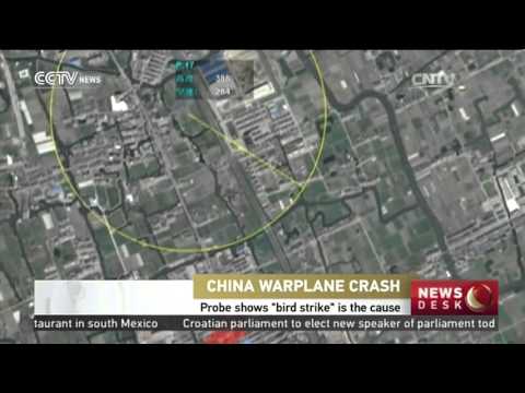 Probe shows "bird strike" is the cause