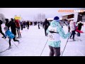 Live: «Лыжня России-2015» - репортаж с трассы 