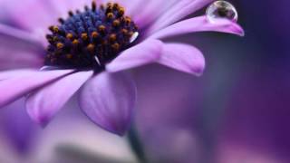 RÜFÜS DU SOL - You Were Right (Louis Futon Remix)