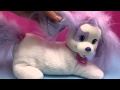 Barbie Magician Makes Puppy Surprise DisneyCarToys Stuffed Dog And Kitty Surprise Toys Magic