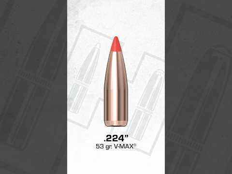 Hornady® V-MAX® Gelatin Test