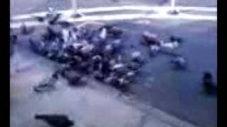 preview picture of video 'Pigeon Attack In New York City'