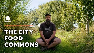 Public Park Transformed into an Urban Food Forest!