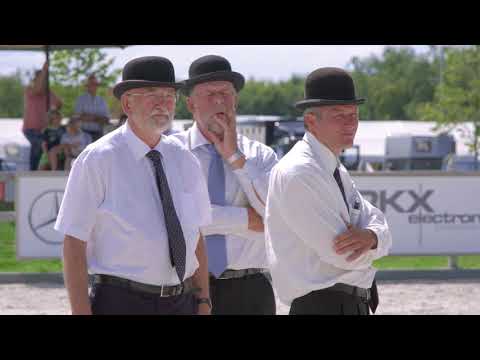 Fokdag &quot;Het Friese Paard Limburg&quot; 2018