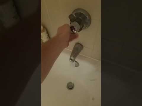 Time for a shower Video