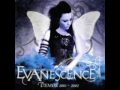 Evanescence's Discography - 5 