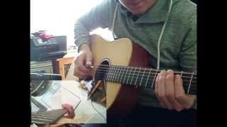 The Brain of The Purple Mountain (new audio) - Leo Kottke cover - 12 String