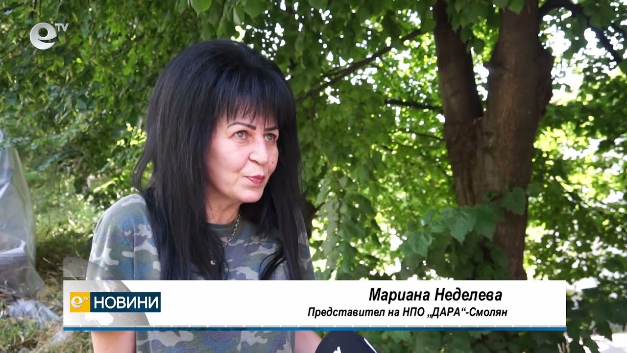 Повече от спасените кучета под Перелик намериха дом