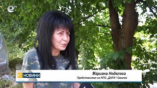 Повече от спасените кучета под Перелик намериха дом
