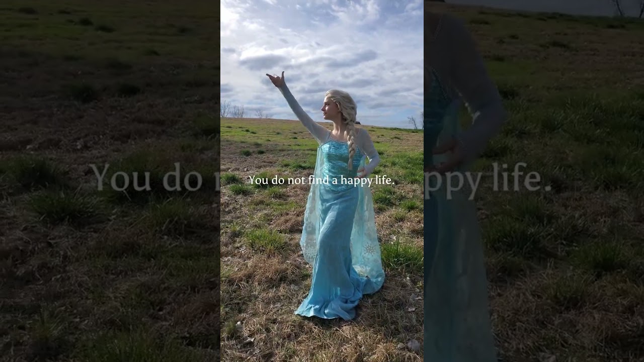 Hire Glass Slipper Productions Costumed Character in Rock Hill, South