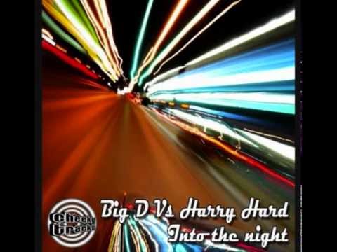 Big D vs Harry Hard - Into The Night (Kritikal Mass Remix)