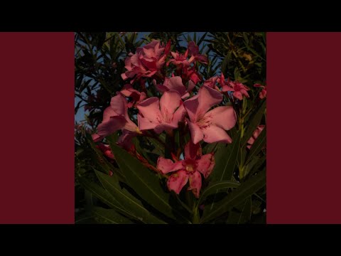 Ra7... Tkhattayna | راح... تخطينا