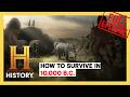 How Prehistoric Men Survived | Full Special | History DEFAULT Thumbnail