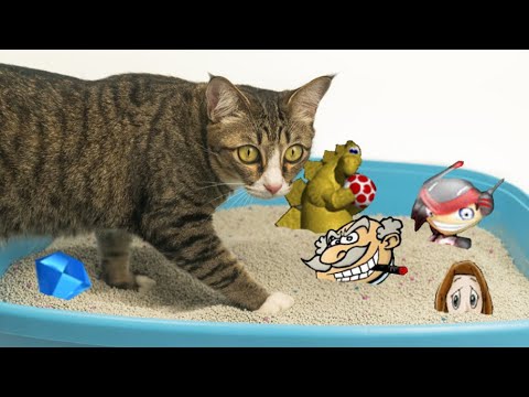 The PopCap Back Catalogue