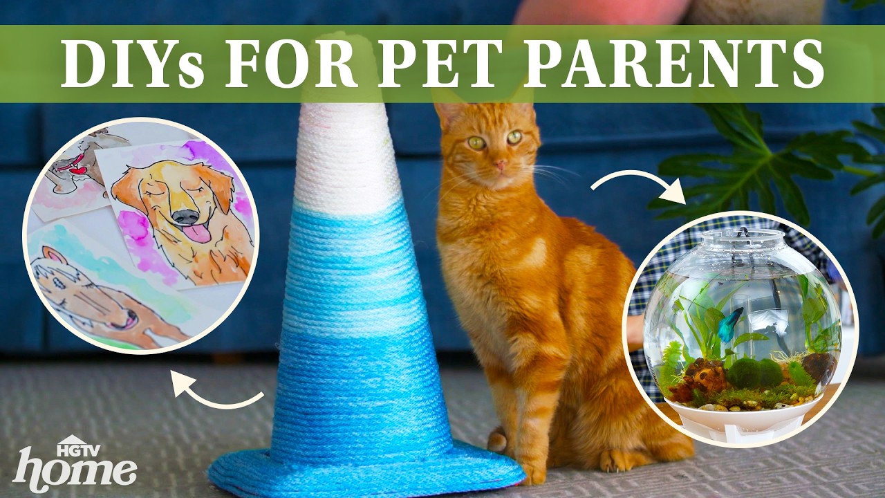 Easy DIYs for Pet Parents | HGTV Home