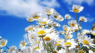 ~ Iniyum Maunamo - NoteBook (full song) ~