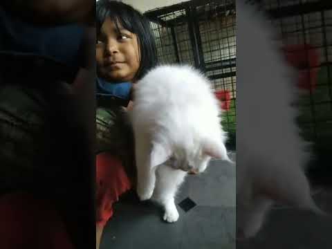 Mahi with Abu Zaid Mouezza...