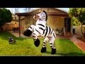 Dope Zebra - Rhett & Link (Official Original Video ...