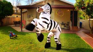 Dope Zebra - Rhett &amp; Link (Official Original Video)