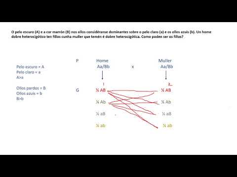 Vídeo: Problemas de xenética para dous caracteres (III)