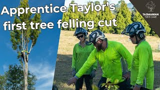 Apprentice Taylor's first tree felling cut