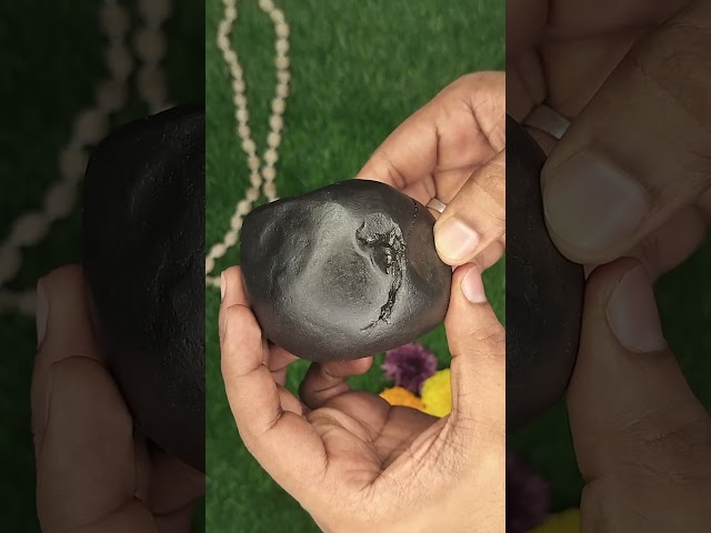 Chakradhari Vishnu Shaligram Shila Authentic Sacred Salagram for Home Temple video