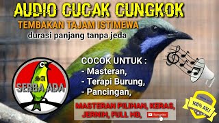 Download lagu MASTERAN PILIHAN - AUDIO CUCAK CUNGKOK ISTIMEWA durasi panjang tanpa jeda #cucakijo #cucakjenggot mp3 Download lagu MASTERAN PILIHAN - AUDIO CUCAK CUNGKOK ISTIMEWA durasi panjang tanpa jeda #cucakijo #cucakjenggot mp3