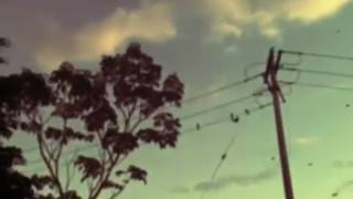 Ezio Bosso - Exit, Run 44