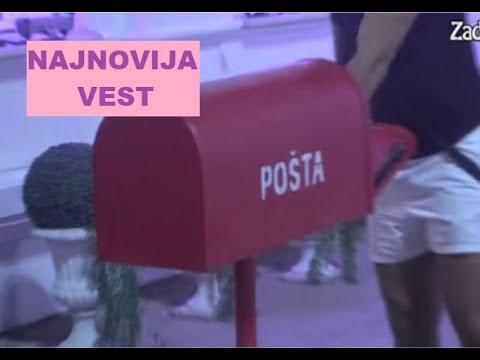 STIGLO ŠOOOKANTNO PISMO od Velikog šefa - Zadao BRUUUTALAN UDARAAC zadrugarima #zadruga #zadrugainfo