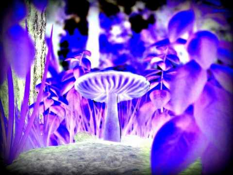 Nikroma - Zenscape (Original Mix)