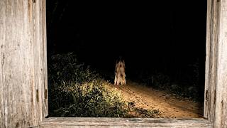 A VISAGEM NA ESTRADA DE TERRA NO AMAZONAS