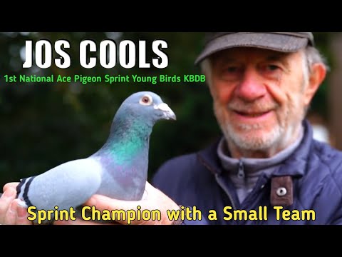 Competes with the 400-Strong Tienverbond against the Best Sprinters - JOS COOLS from Grobbendonk |