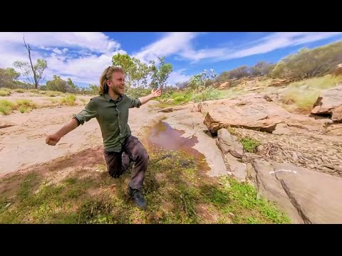 A deadly food - Nardoo (360° VR Wild Food foraging)