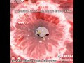 DANDY S WORLD TIKTOK COMPILATION PT111 Naoflopaporfavor Feedshorts Dandysworld Memes Tiktok