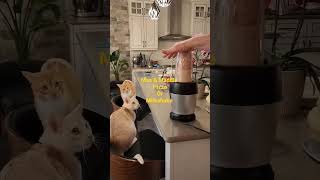 Download lagu Cats & Milkshake! mp3