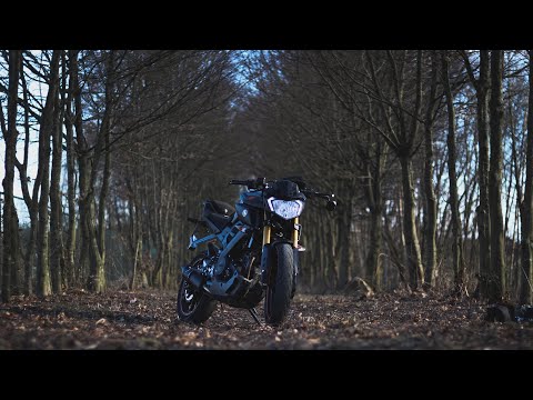 LANNÉ, New Beat Order & Robbe - I Want It That Way (ft  MEQQ)