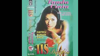 Download lagu Iis Dahlia _ Hatiku Bukan Batu mp3 Download lagu Iis Dahlia _ Hatiku Bukan Batu mp3