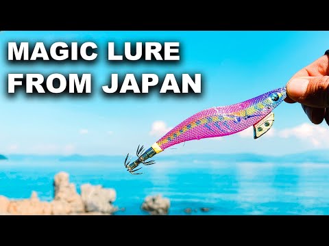 Catching Squid with Traditional Japanese Lures | Peaceful Ocean Fishing & Camp Cooking