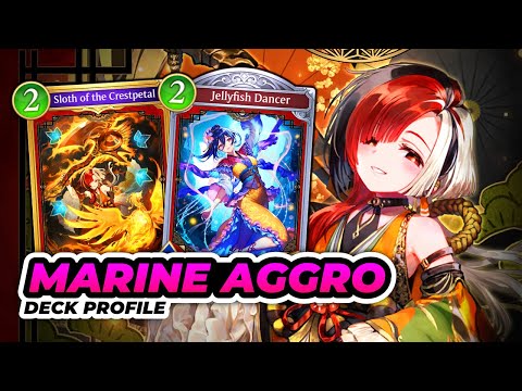 Climb Fast with Aggro Fishcraft!