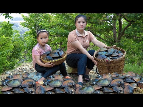 The process of Harvesting a lot of mussels, Picking fruits, Giant bamboo shoots - With my daughter