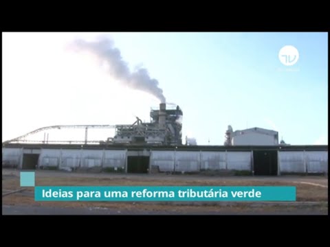 Deputados e especialistas debatem ideias para uma economia verde - 14/08/20