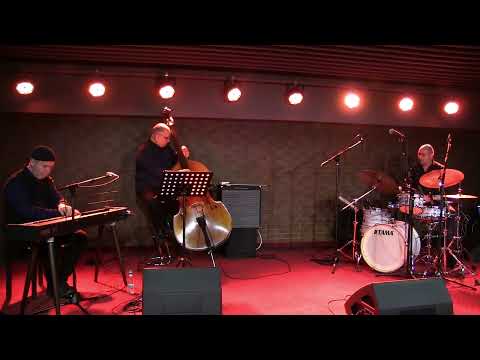 Mircea Tiberian Trio - Janus