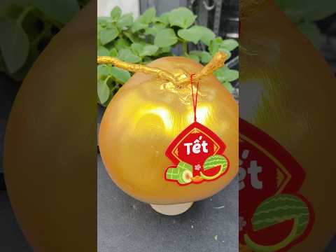 Hướng dẫn sơn dừa vàng chưng Tết cực đẹp
