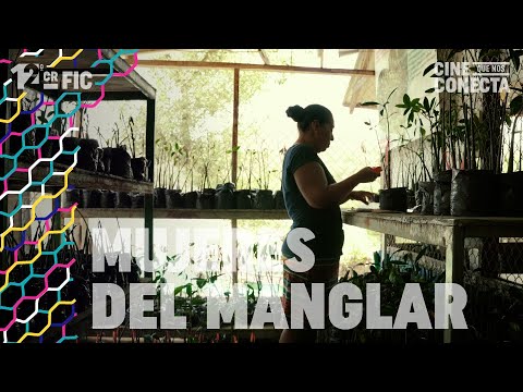 MUJERES DEL MANGLAR (tráiler oficial)